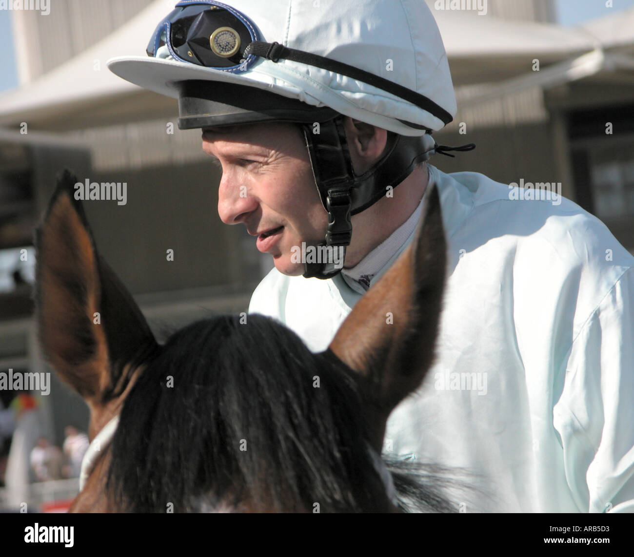 der Jockey Tony McCoy Stockfoto