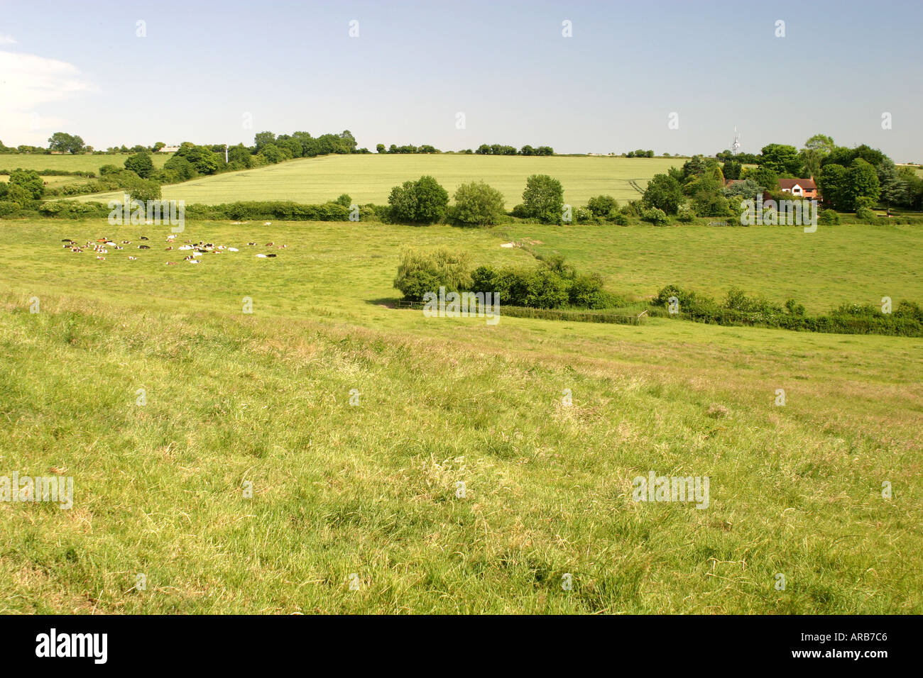 Blick vom Wanborough in Richtung Liddington Hügel in der Nähe von Swindon Wiltshire Stockfoto