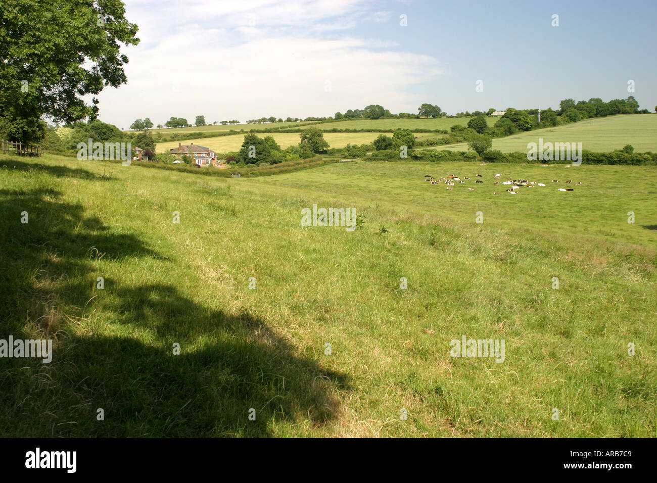 Blick vom Wanborough in Richtung Liddington Hügel in der Nähe von Swindon Wiltshire Stockfoto