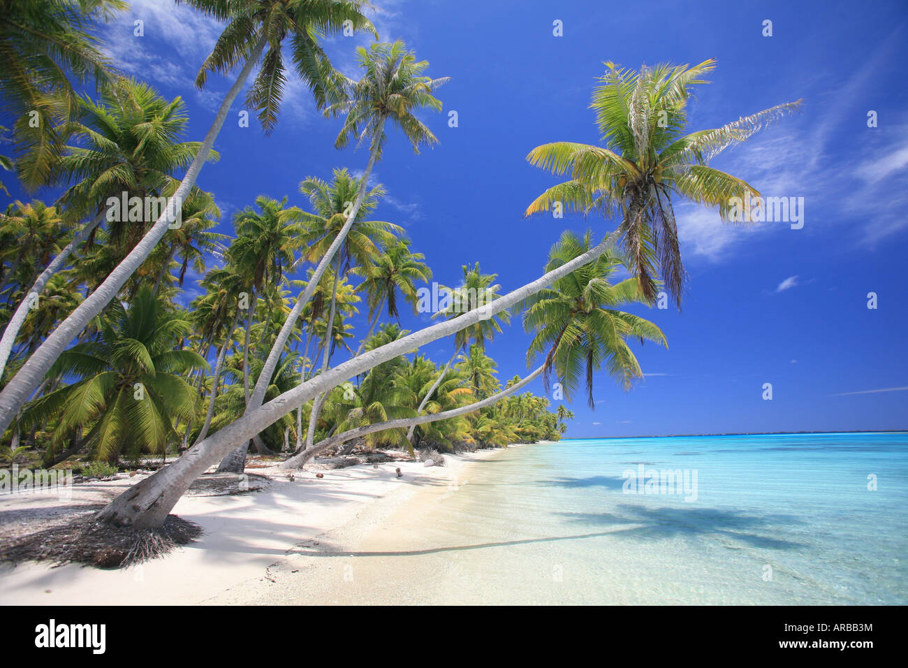 Geographie Reise Frankreich Franz sisch Polynesien Tuamotus Tuamotu Geographie Reise Frankreich Franz sisch Polynesien Tuamotus Tuamotu