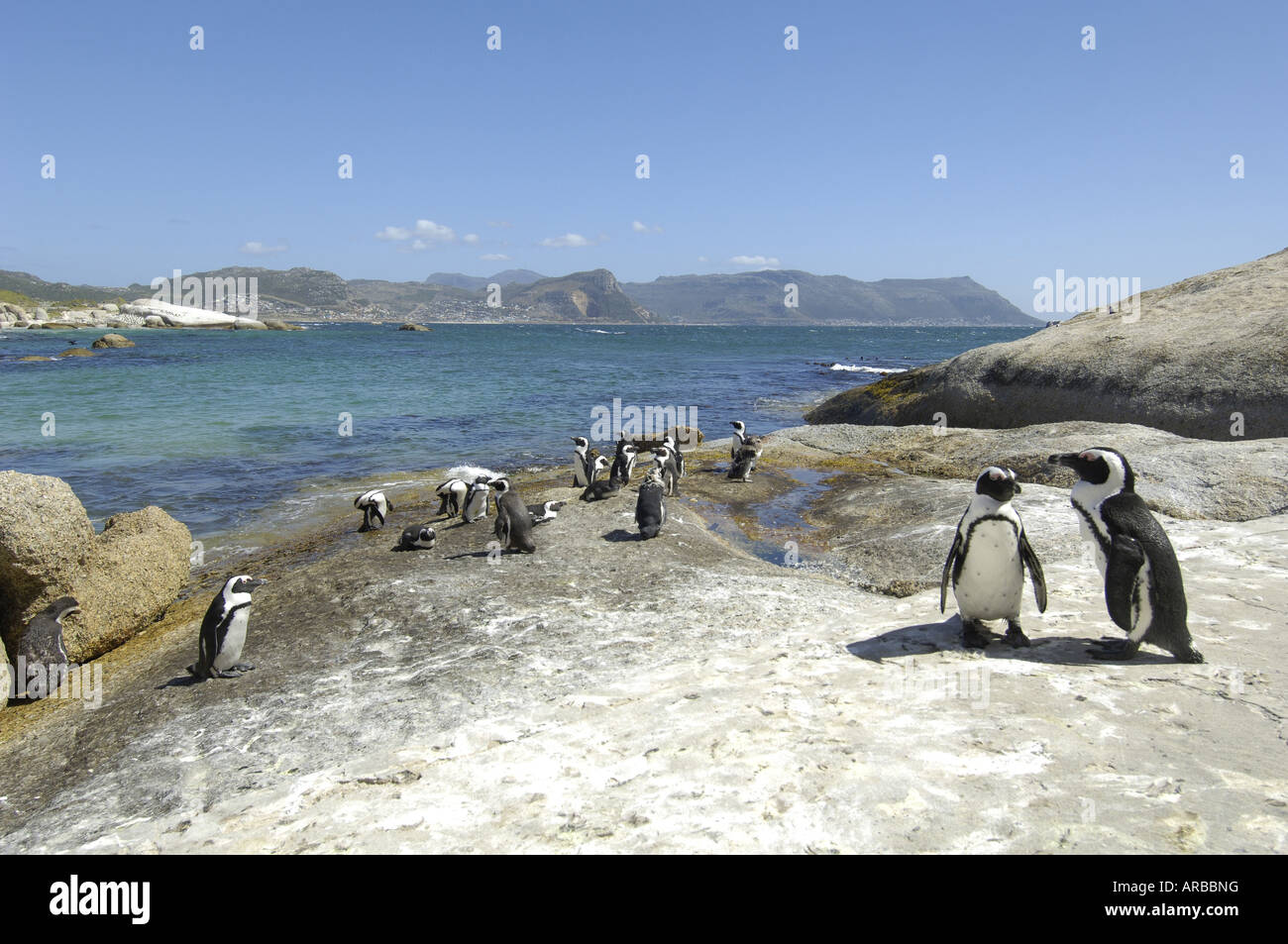 Geographie/Reisen, Südafrika, Simon's Town, (Kap Halbinsel), Boulders Beach (Table Mountain National Park),, Additional-Rights - Clearance-Info - Not-Available Stockfoto