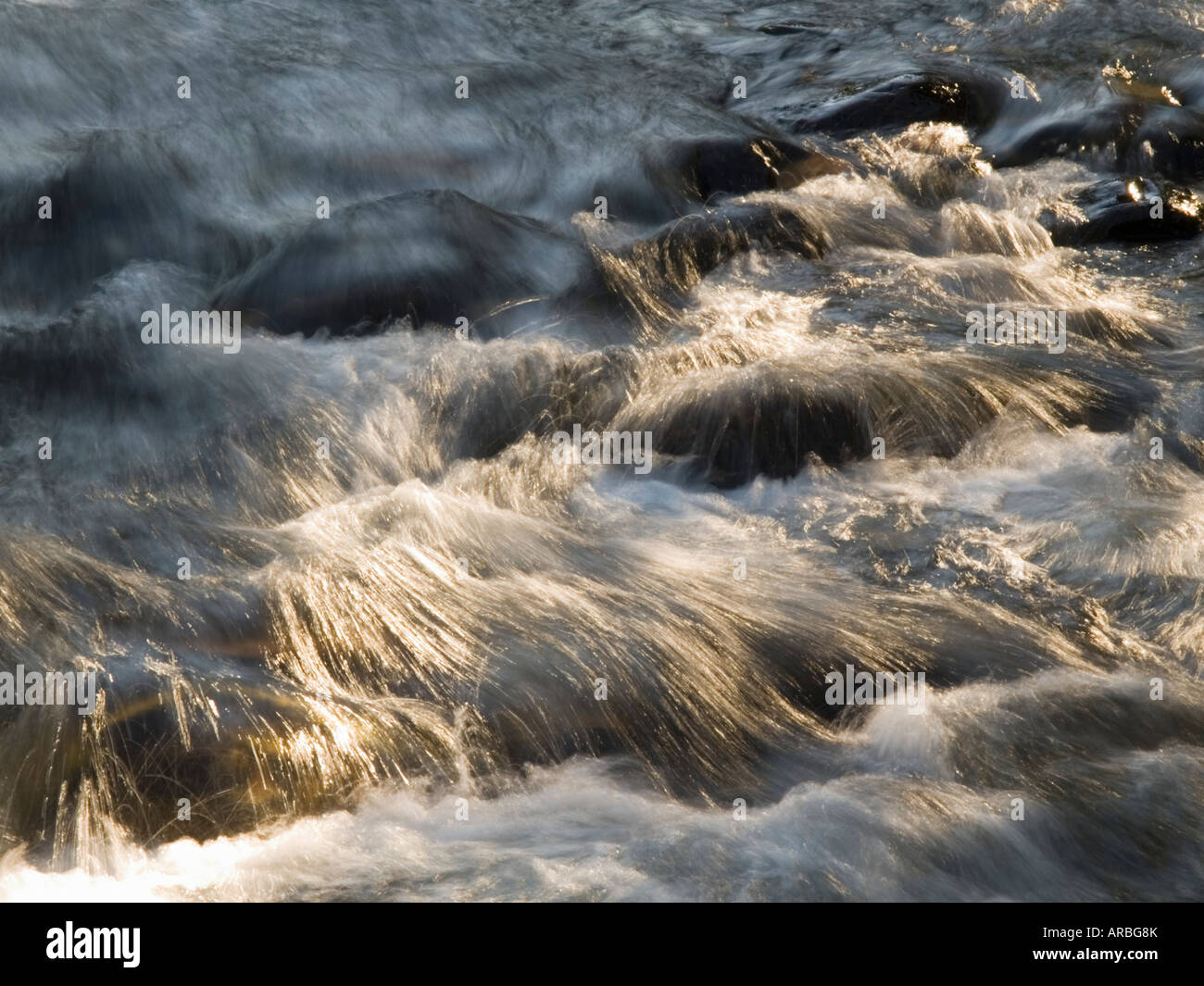 Creekwater hautnah Stockfoto