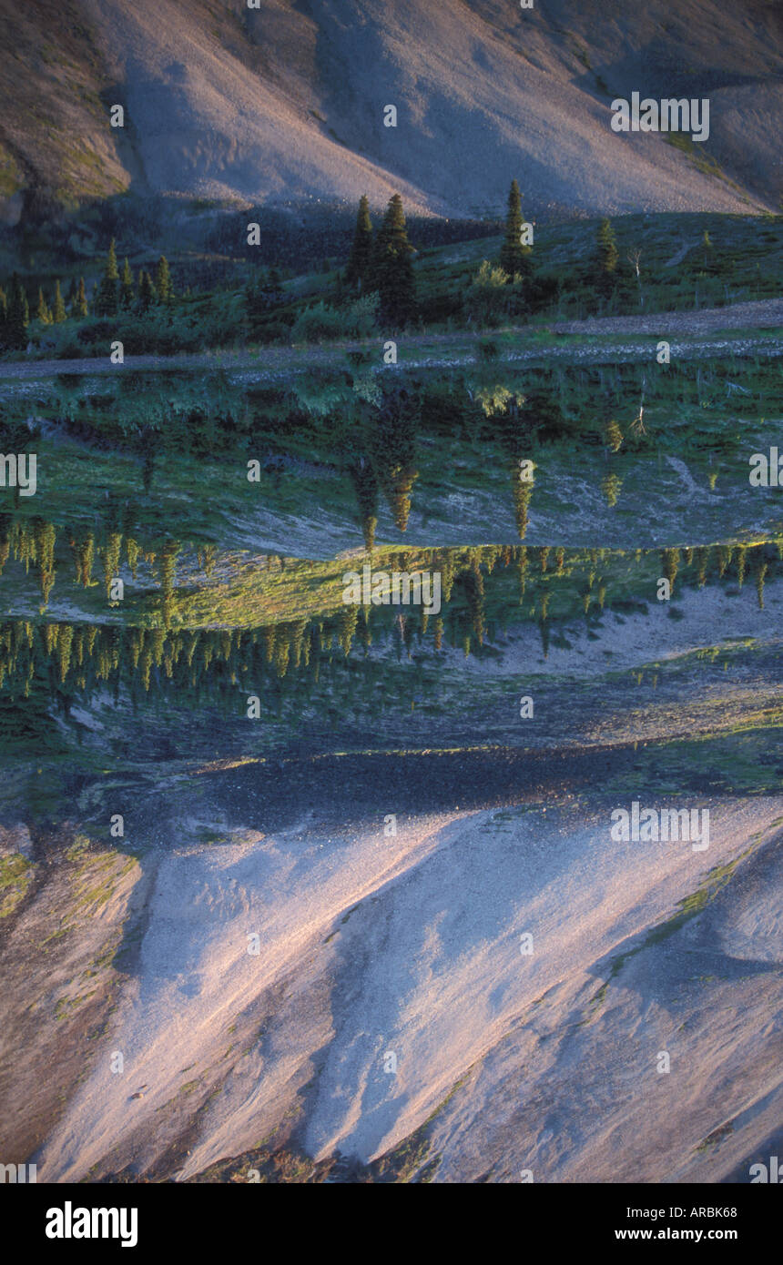 Reflexion der Chigmit Mountains in Twin Lakes Wilderness des Lake-Clark-Nationalpark Alaska USA Stockfoto