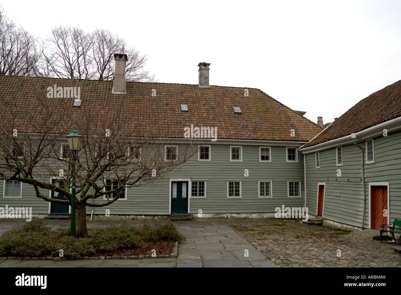 Mycobacterium leprae bacteria Fotos und Bildmaterial in hoher