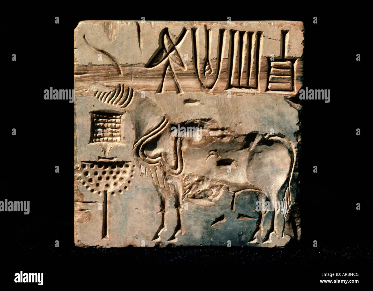Dichtungen von Mohenjodaro, Indus Senke-Zivilisation, Karachi Museum, Karachi, Pakistan Stockfoto
