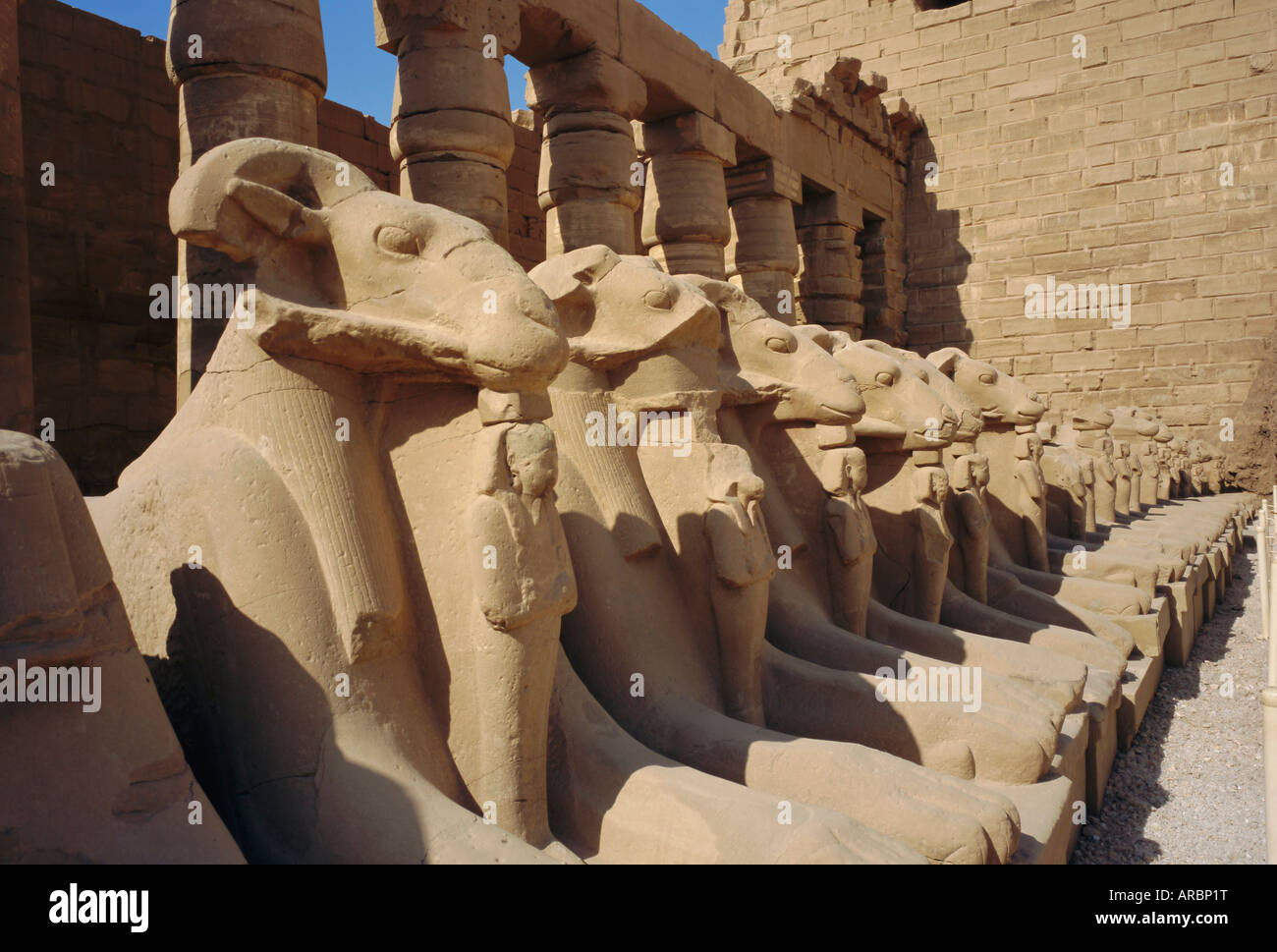 Tempel von Karnak, Luxor, Ägypten, Nordafrika Stockfoto