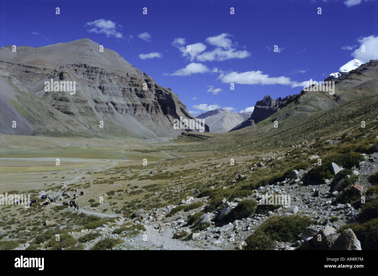 Pfad in Lha Chu Schlucht auf der Kora Weg runden Berg heilig für Buddhisten und Hindus, Mount Kailash (Kailash), Tibet, China Stockfoto