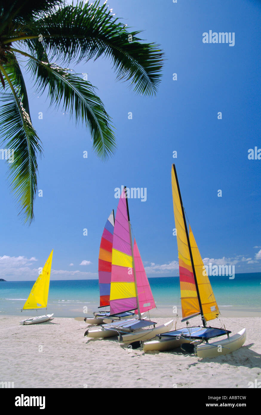 Segelboote am Chaweng Beach, Ostküste, Koh Samui (Ko Samui), Thailand Stockfoto