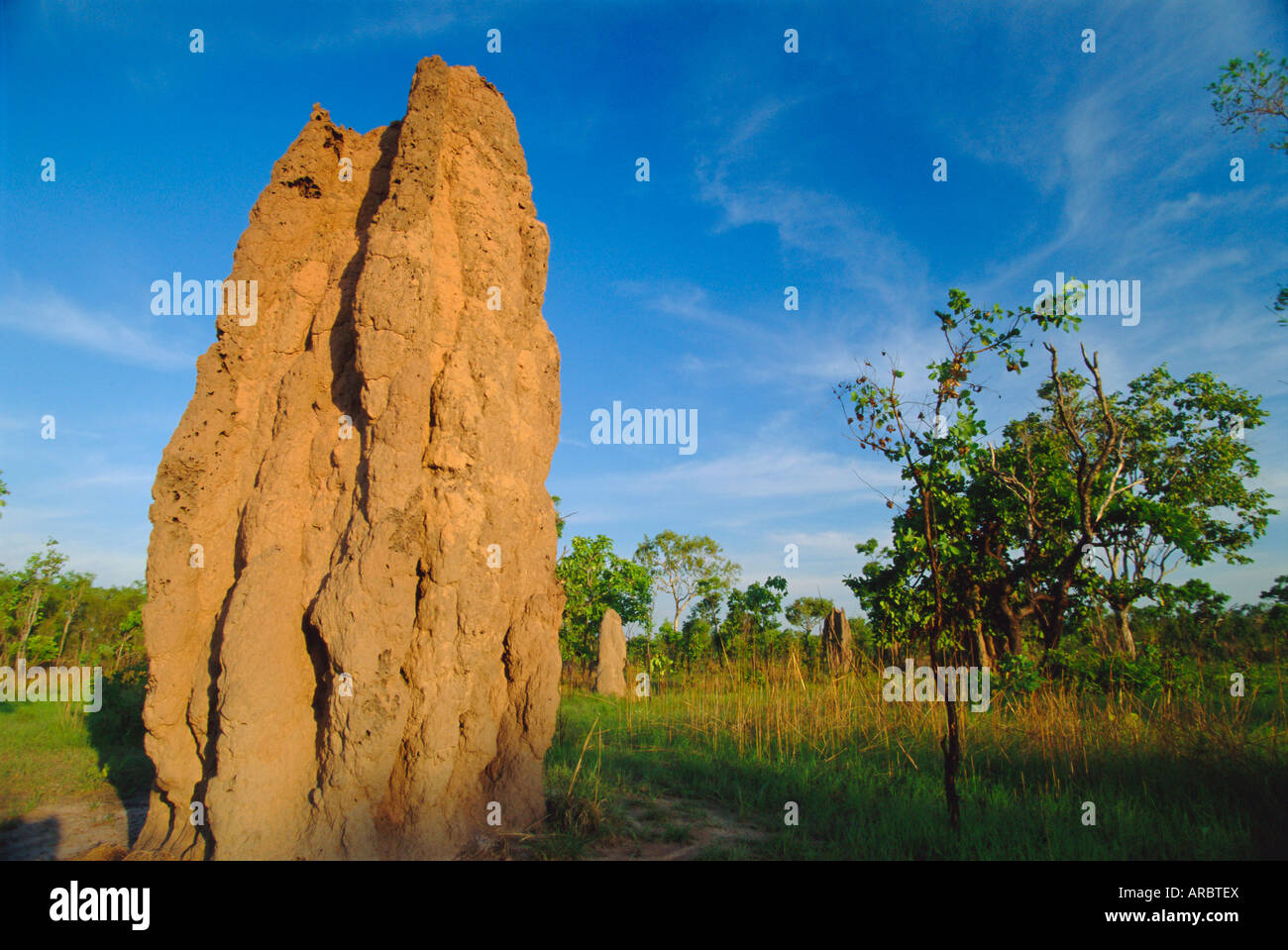 Termite "Kathedrale" von Arnhem Highway, Northern Territory, Australien Stockfoto