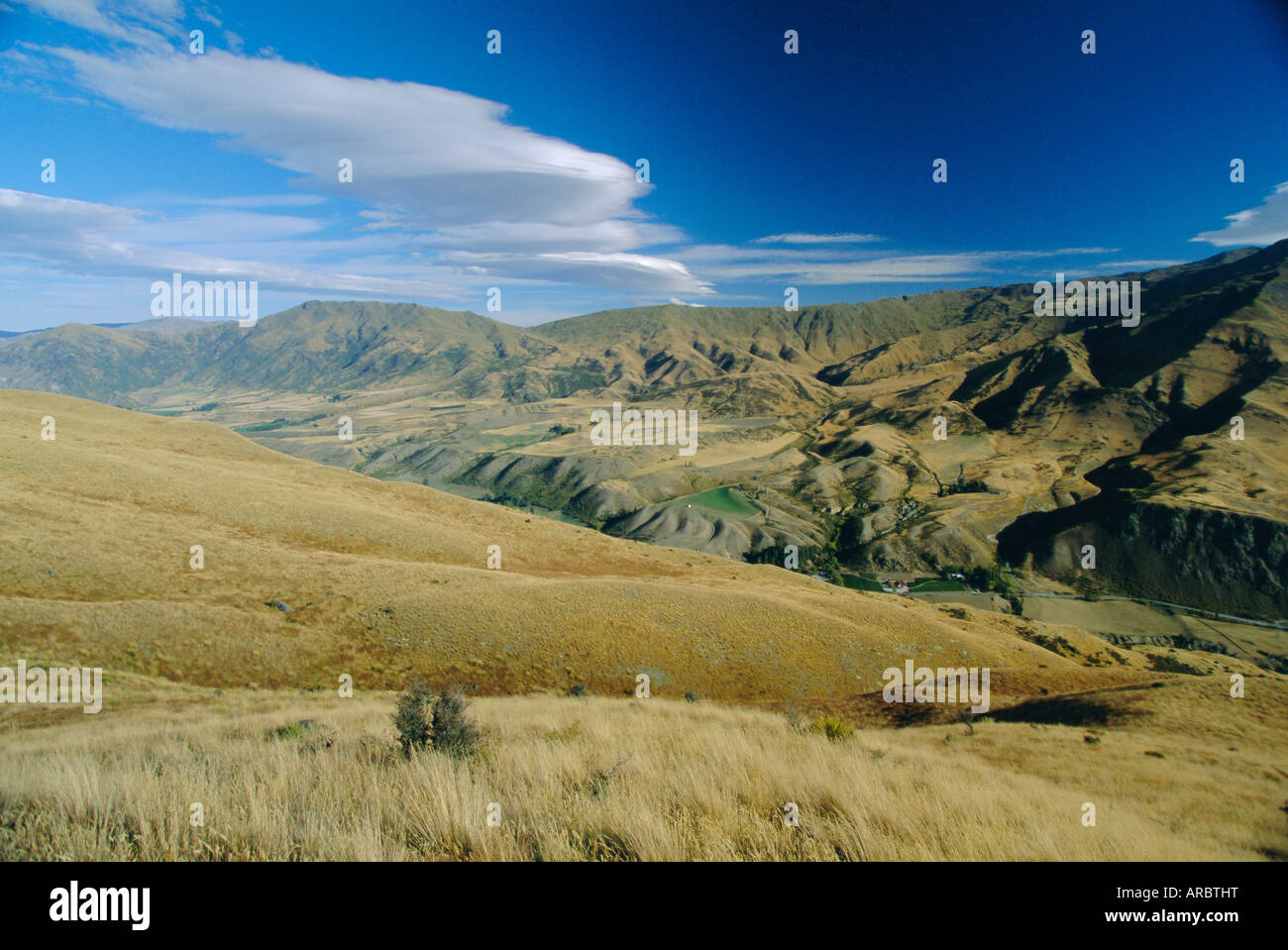 Kawarau Tal im Gebiet Nord östlich von Queenstown, West Otago, Südinsel, Neuseeland Stockfoto