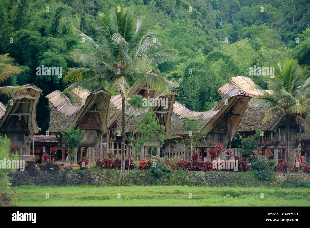 Traditionelles Dorf, Kete Kesu, Torajaland, Sulawesi, Indonesien Stockfoto