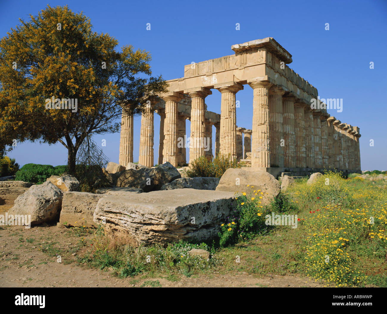 Tempel E (5. Jh. v. Chr.), Selununte, Sizilien, Italien Stockfoto