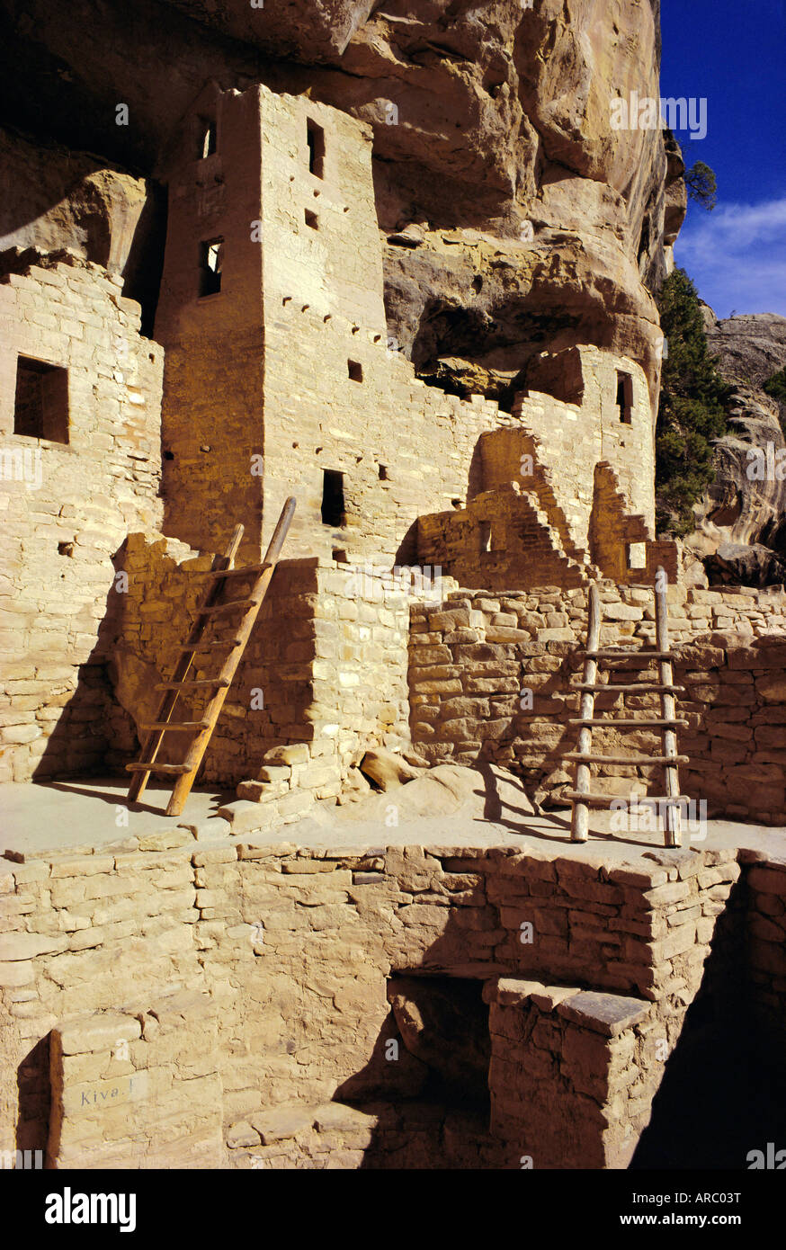 Cliff Palace, Mesa Verde, Anasazi Kultur, Colorado, USA Stockfoto