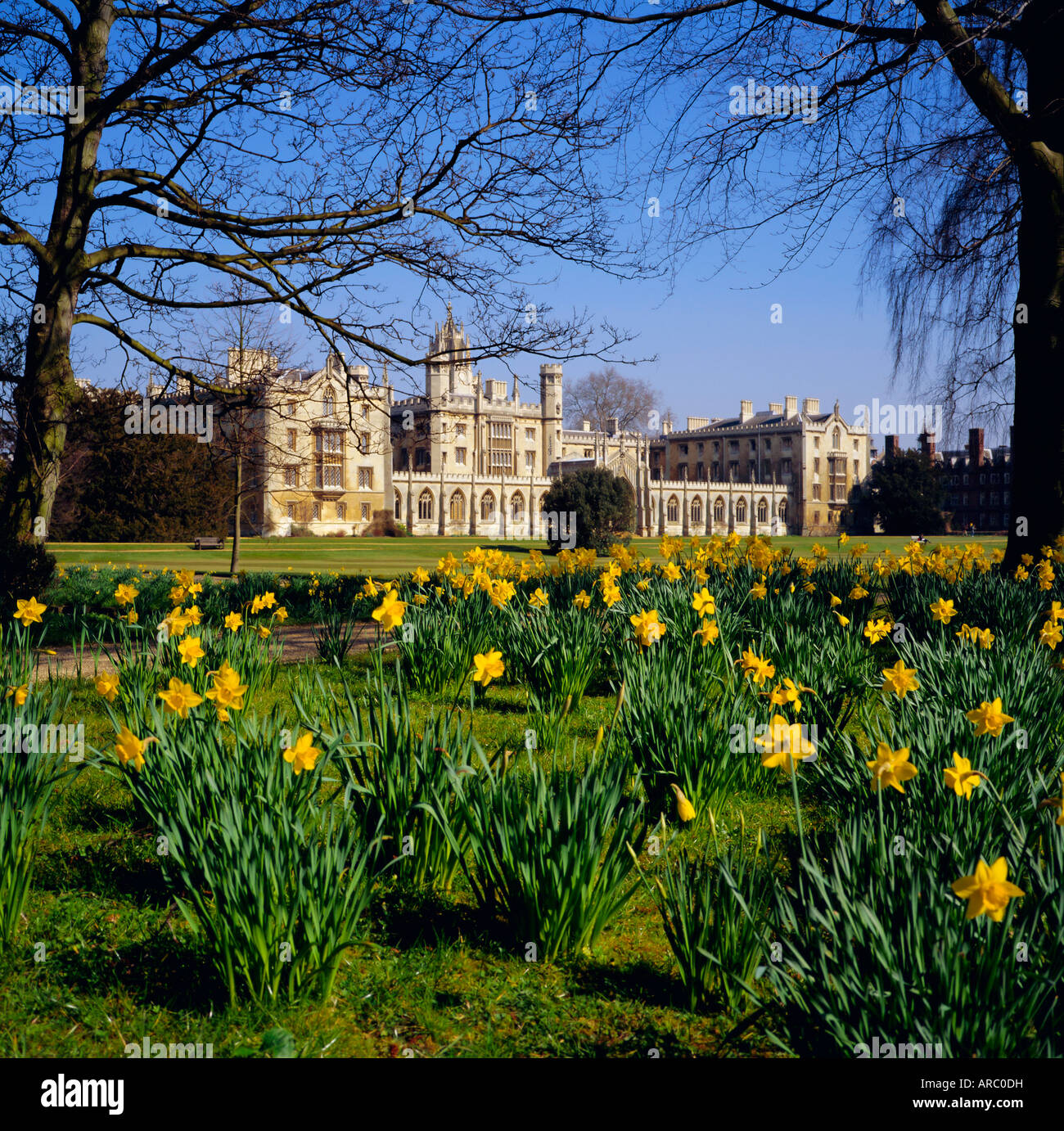 St. Johns College in Cambridge, Cambridgeshire, England, Vereinigtes Königreich Stockfoto