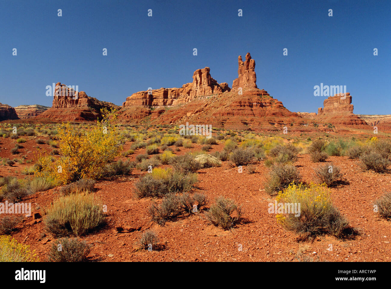 Sandstein Monolithen, Tal der Götter, Utah, USA Stockfoto