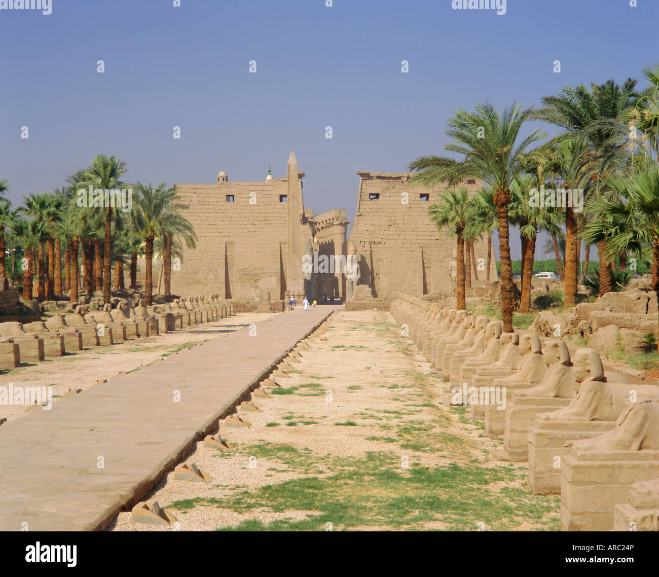 Allee der Sphinxen und Statuen von Ramses II, Luxor-Tempel, Luxor, Ägypten Stockfoto