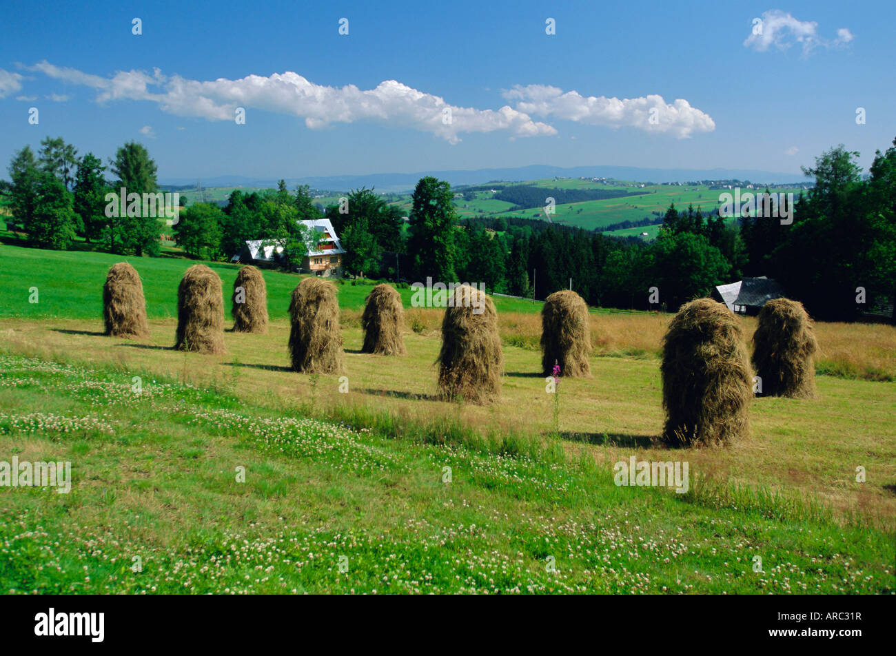 Typische polnische Landschaft in der Nähe von Zacopane, hohe Tatra, Polen, Europa Stockfoto
