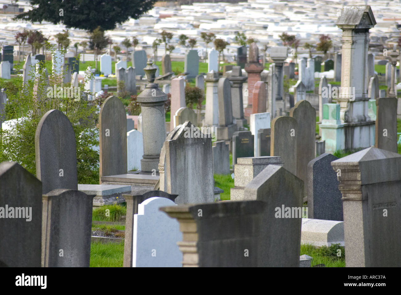 Friedhof in London England Stockfoto