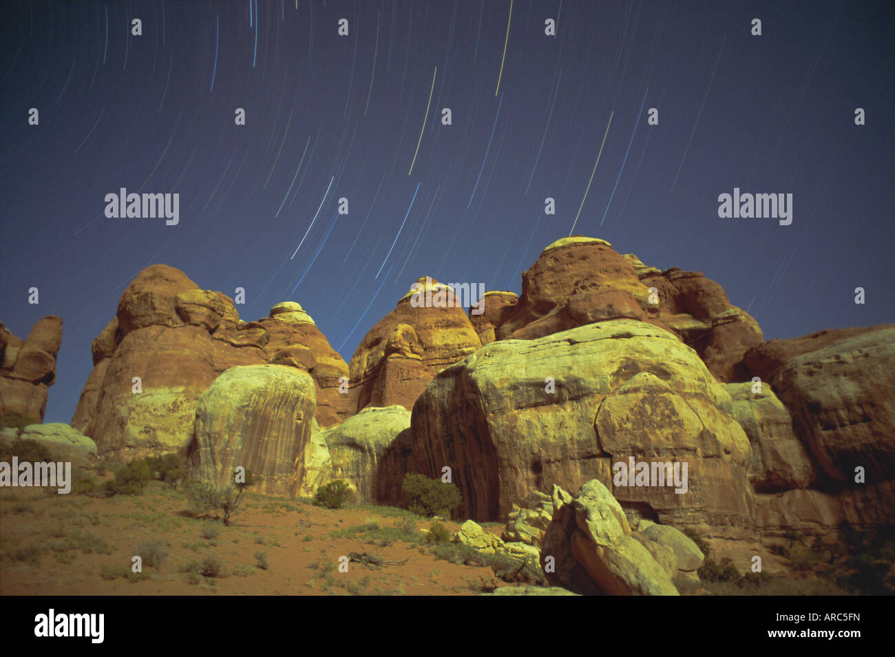 Starstreaks über Rock-Formationen, Canyonlands National Park, Utah, USA, Nordamerika Stockfoto