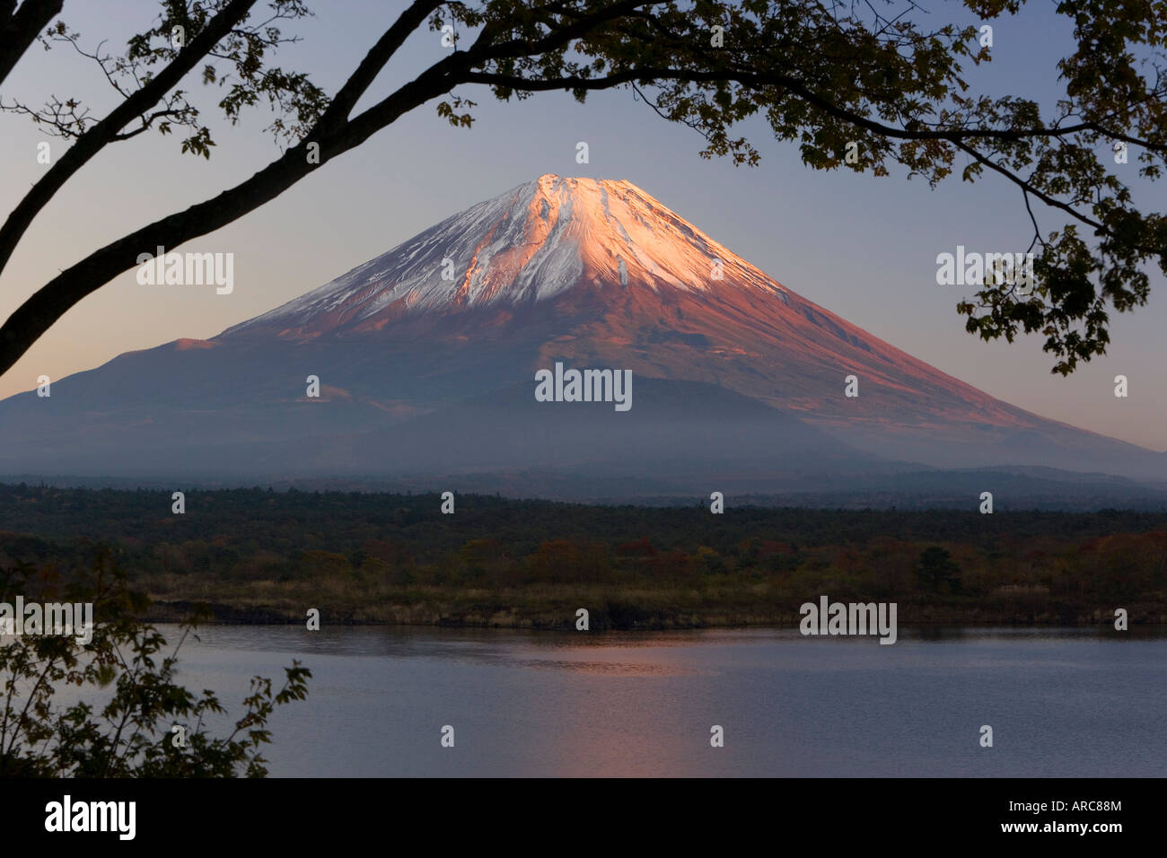 Lake Shoji-Ko und Mount Fuji im Abendlicht, Fuji-Hakone-Izu-Nationalpark, Honshu, Japan, Asien Stockfoto