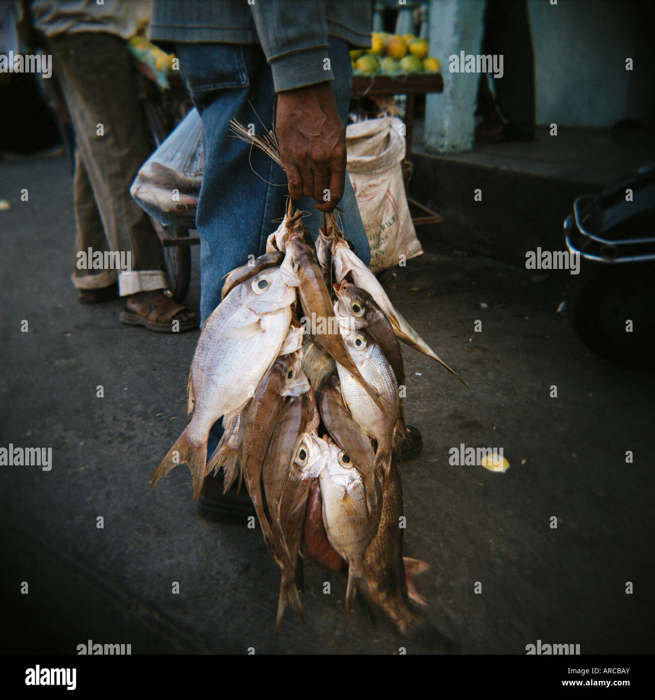 Frischer Fisch, gebündelt mit Schnur, Stone Town, Sansibar, Tansania, Ostafrika, Afrika Stockfoto