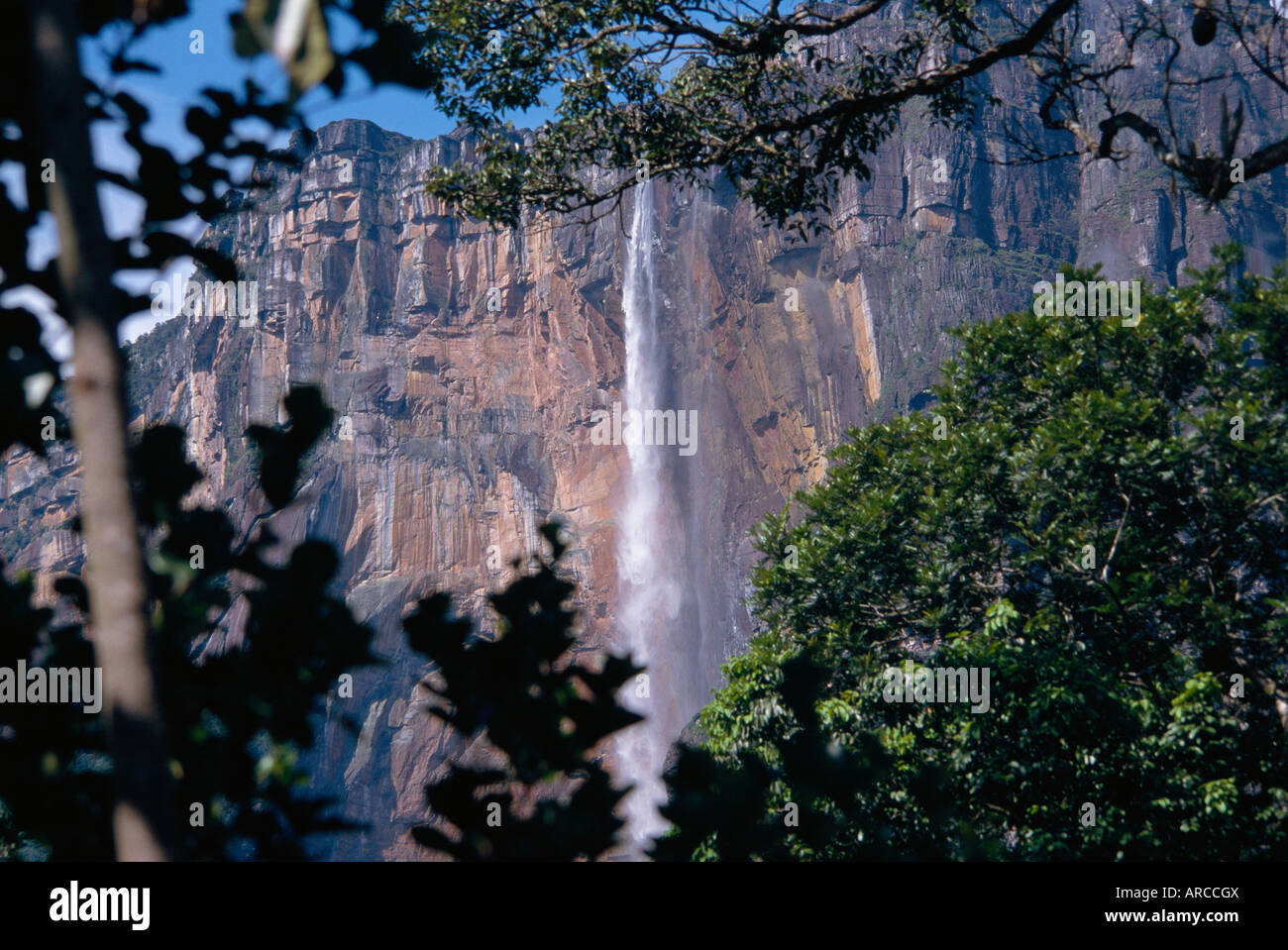 Angel Falls in Canaima-Nationalpark, Venezuela, Südamerika Stockfoto