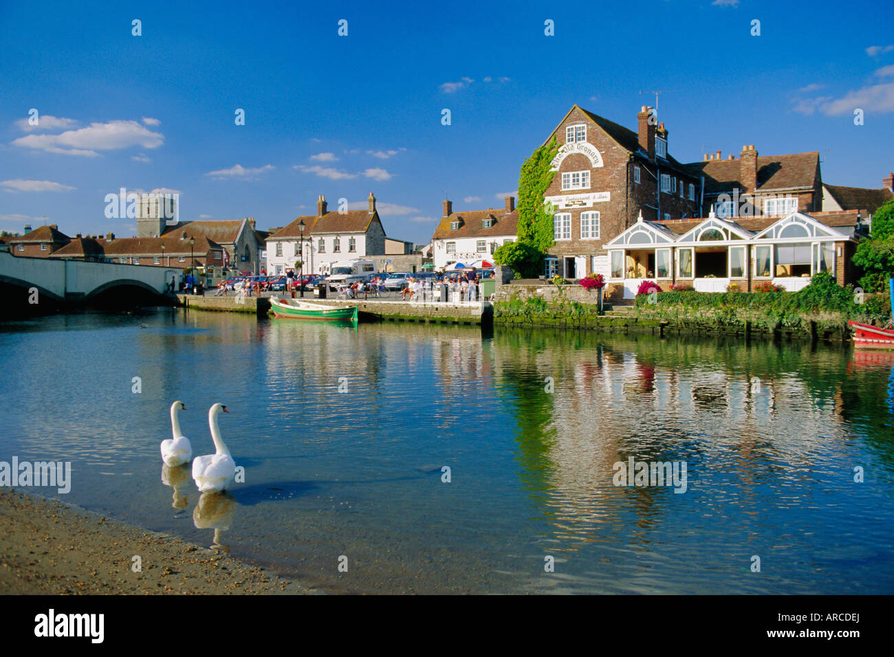 Schwäne am River Frome, Wareham, Dorset, England, Vereinigtes Königreich Stockfoto