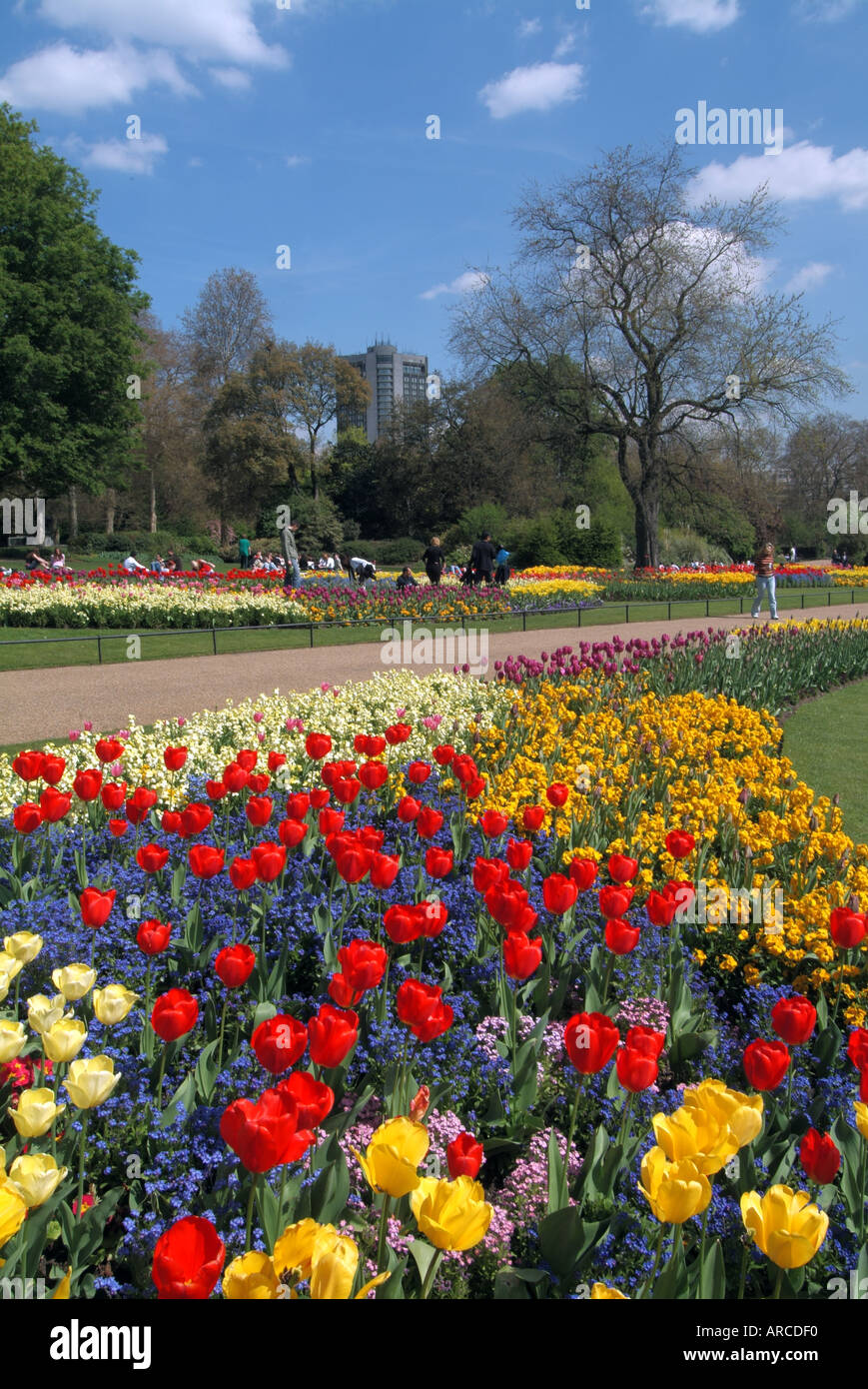 Hyde Park in London in der Nähe von Hyde Park Ecke Frühling Anzeigen von Blumen mit Hilton Hotel darüber hinaus Stockfoto