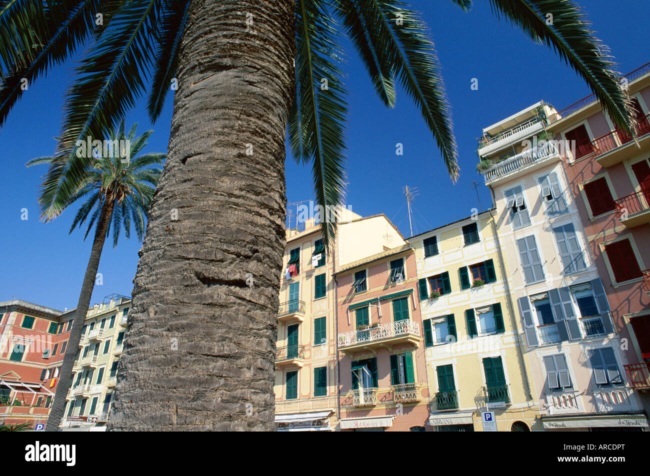 Farbenfrohen Gebäuden und Palmen, Santa Margherita Ligure, Portofino Halbinsel, Ligurien, Italien, Europa Stockfoto