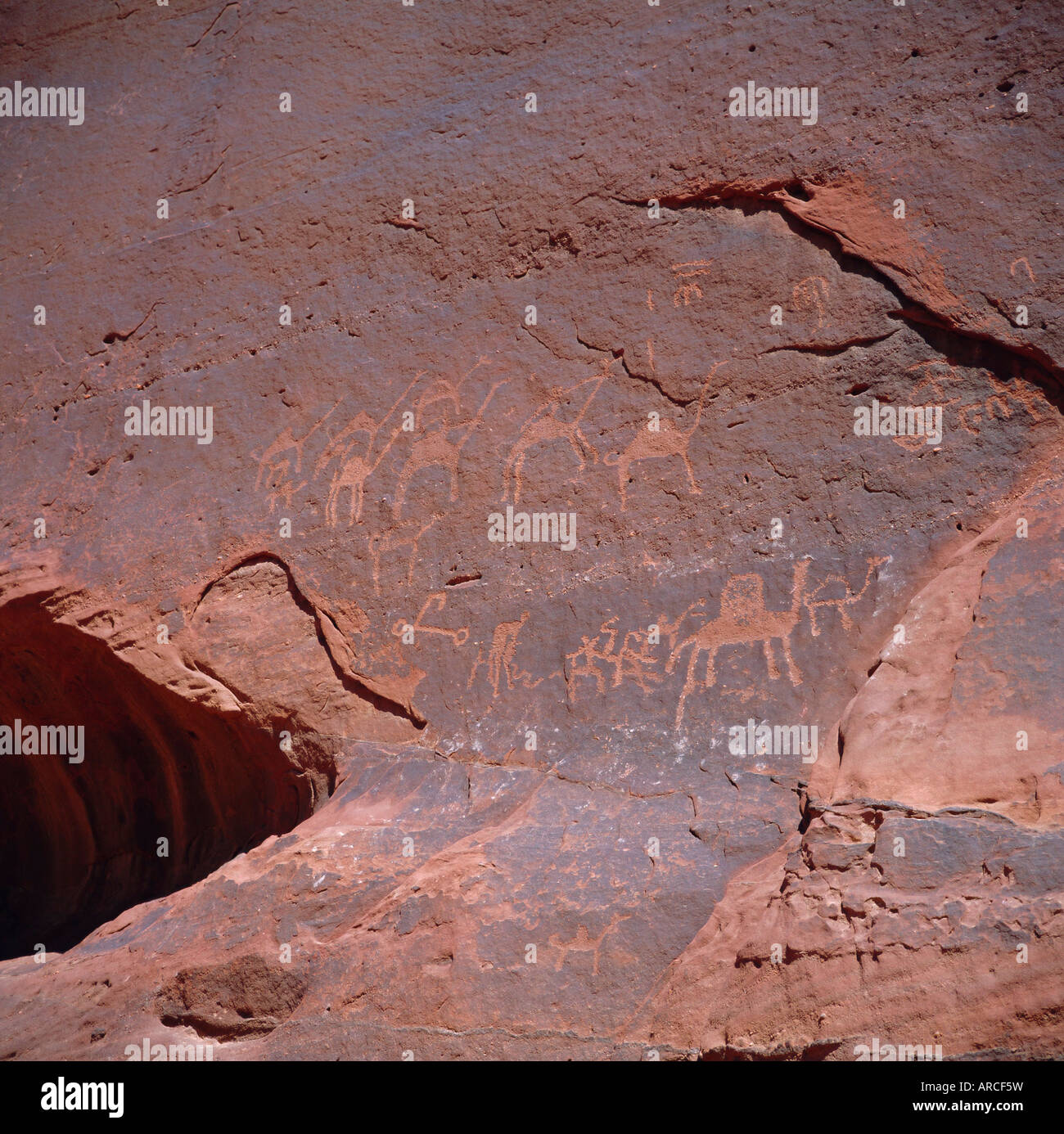 Thamudischen Inschriften geschnitzt vor 2000 Jahren von arabischen Stamm der Kamel-Karawane auf Jebel Umm Ishrin, Wadi Rum, Jordanien, Naher Osten Stockfoto