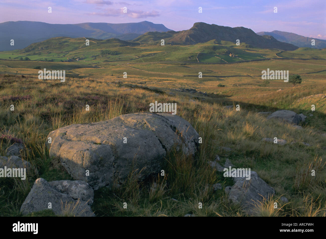 National Trust Land in der Nähe von Mawddach Mündung, Snowdonia-Nationalpark, Gwynedd, Wales, UK, Europa Stockfoto
