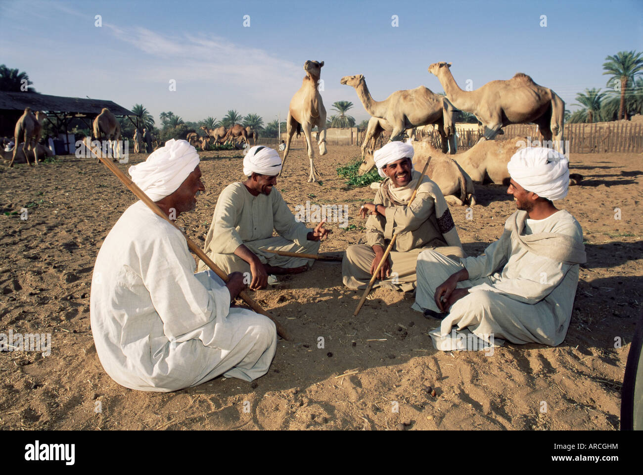 Händler feilschen, Darow Kamel Markt, in der Nähe von Assuan, Ägypten, Nordafrika, Afrika Stockfoto
