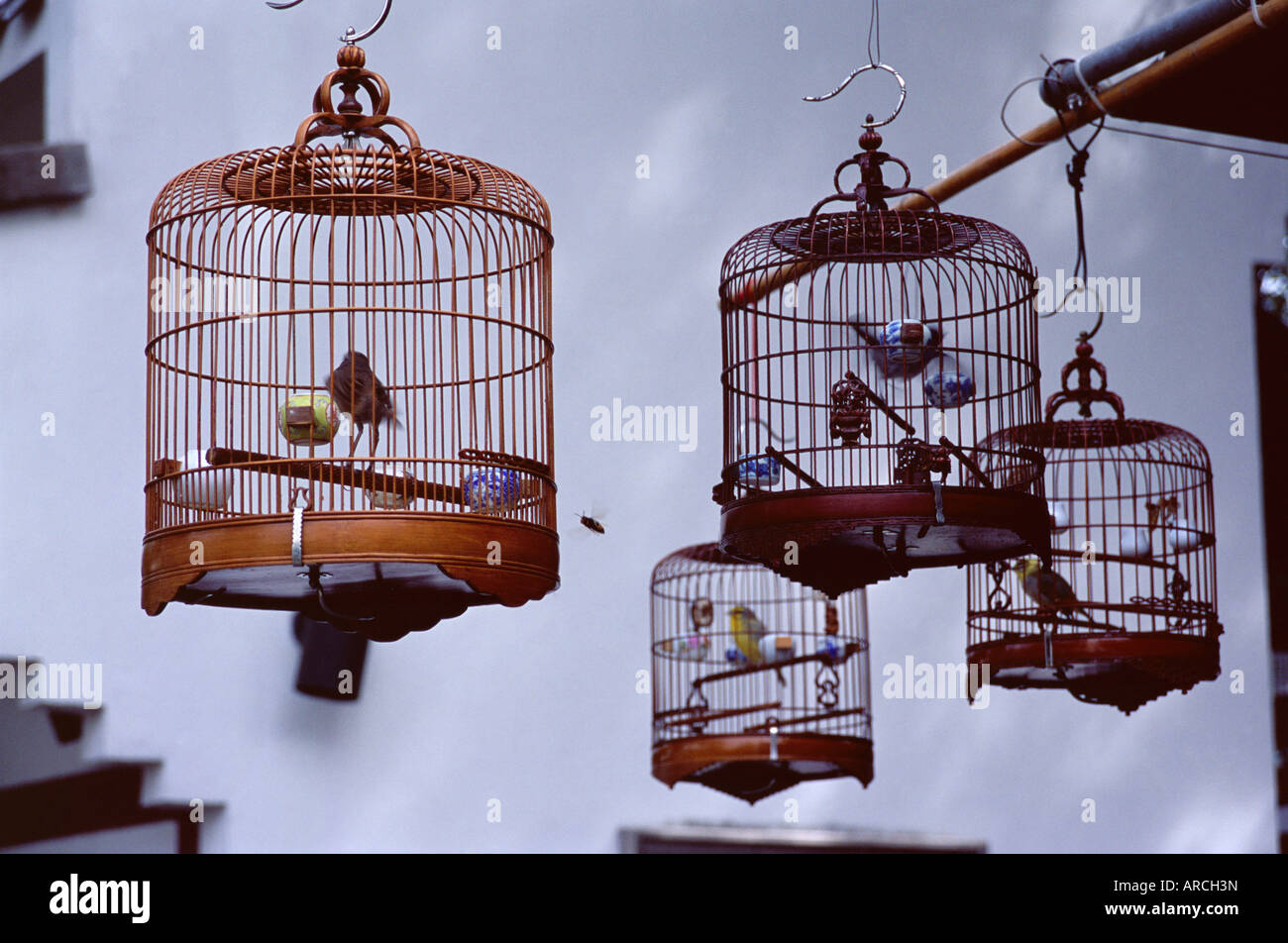 Vögel im Käfig zu verkaufen, Yuen Po Street Bird Garden, Mong Kok, Kowloon, Hong Kong, China, Asien Stockfoto