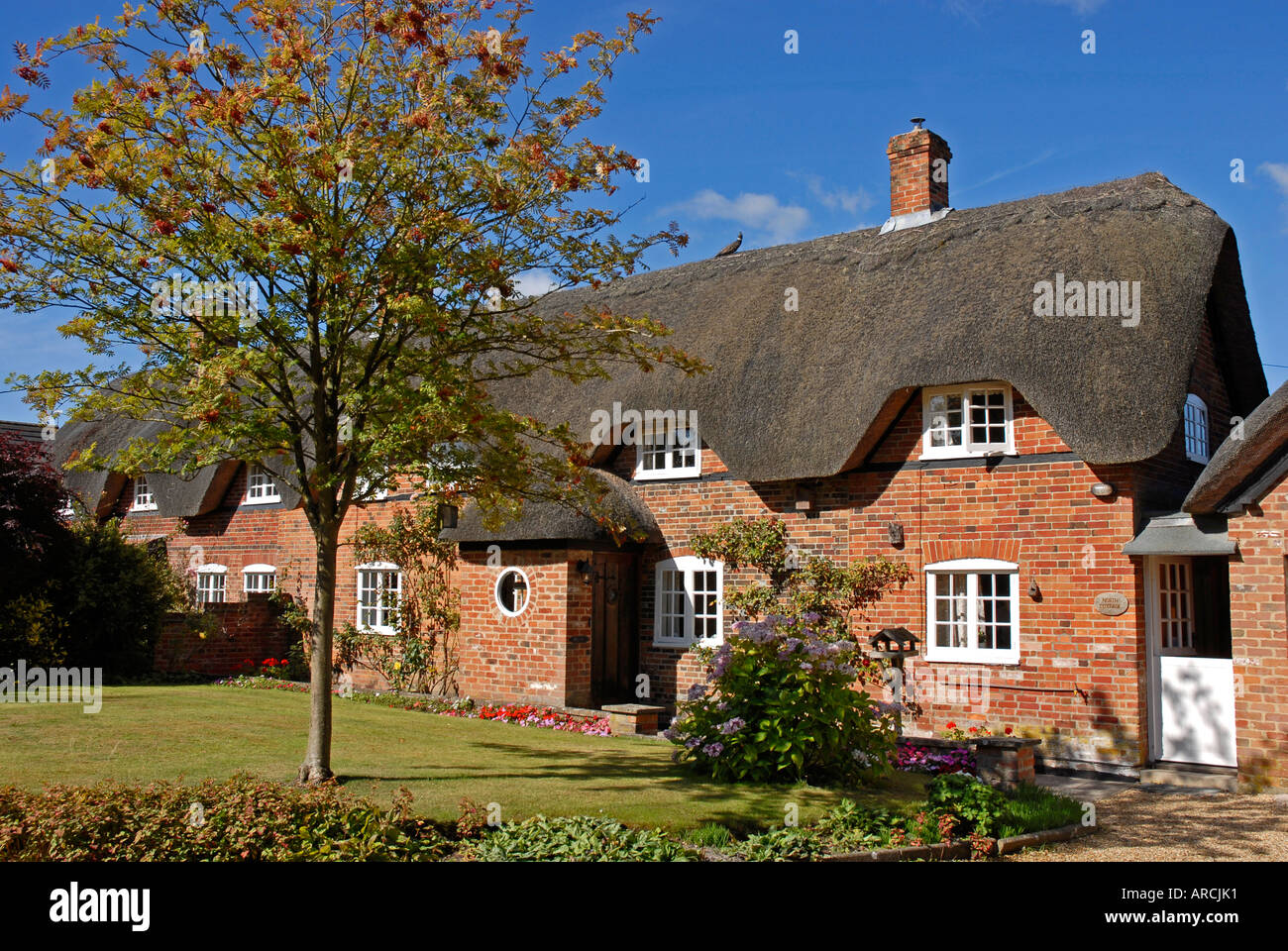 Reetgedeckten Landhaus, Backstein gebaut, mit strahlend blauen Himmel. Baum im Garten Stockfoto