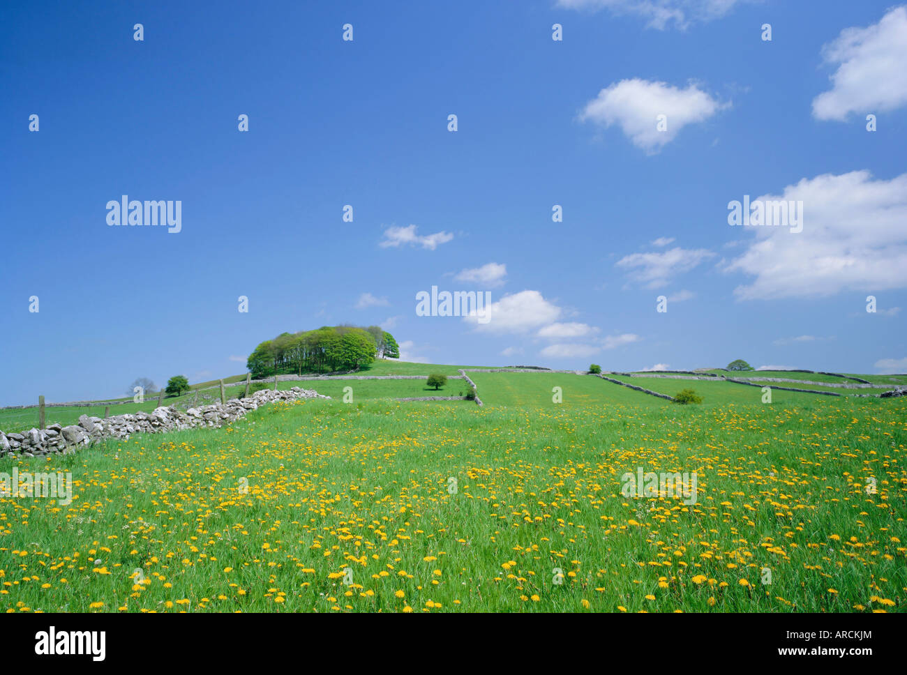 Alstonefield, weiße Peakfläche, Peak District National Park, Derbyshire, England, UK Stockfoto