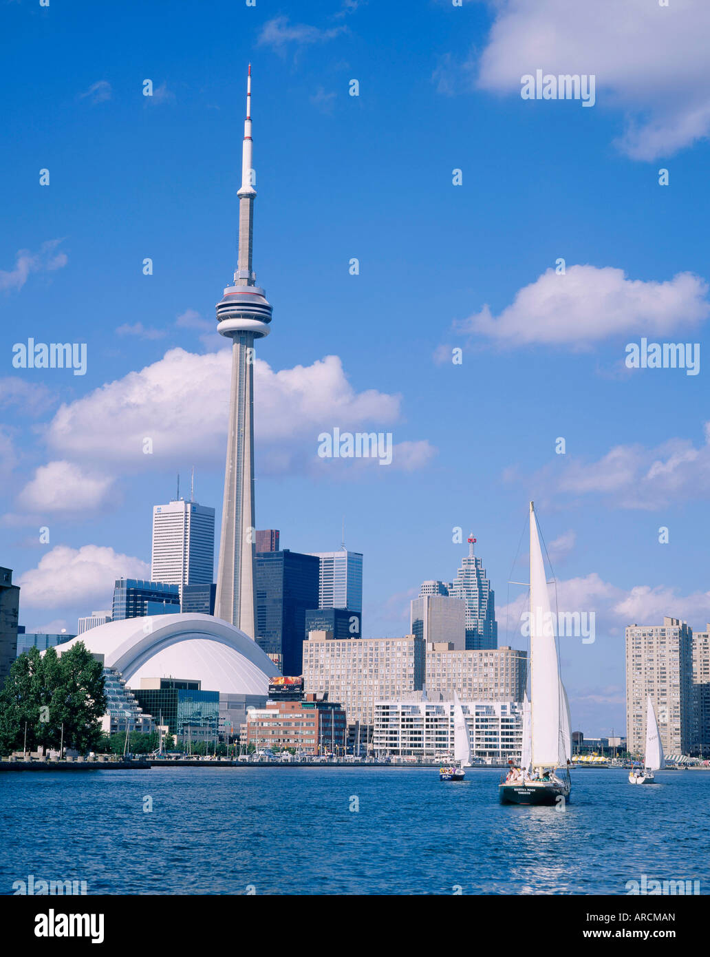 Die C.N.Tower und die Skyline von Toronto, Ontario, Kanada Stockfoto