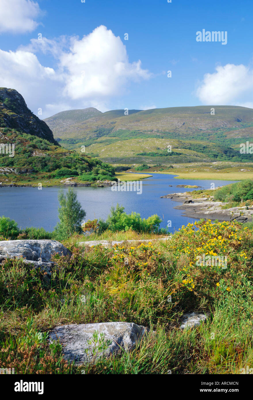 Ring of Kerry zwischen Obersee und Muckross Lake, Killarney, County Kerry, Munster, Irland (Eire), Europa Stockfoto