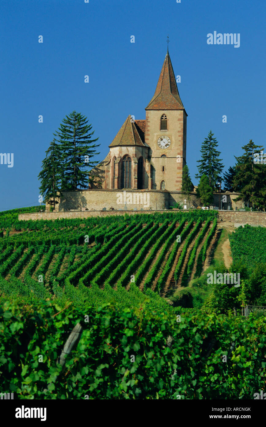 Kirche und Weinberge, Hunawihr, Elsass, Frankreich, Europa Stockfoto