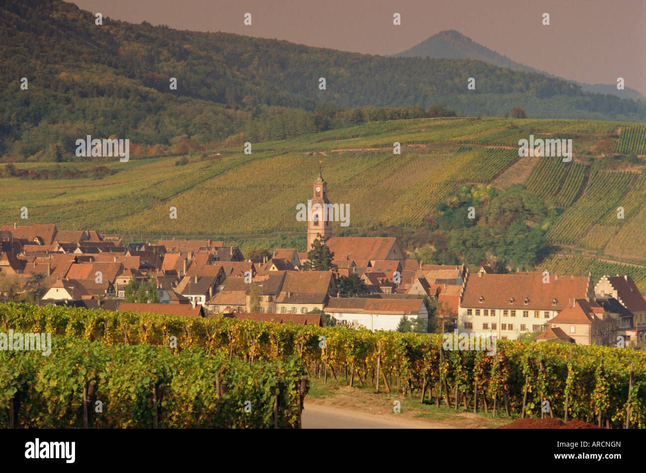 Riquewihr, Elsass, Frankreich, Europa Stockfoto