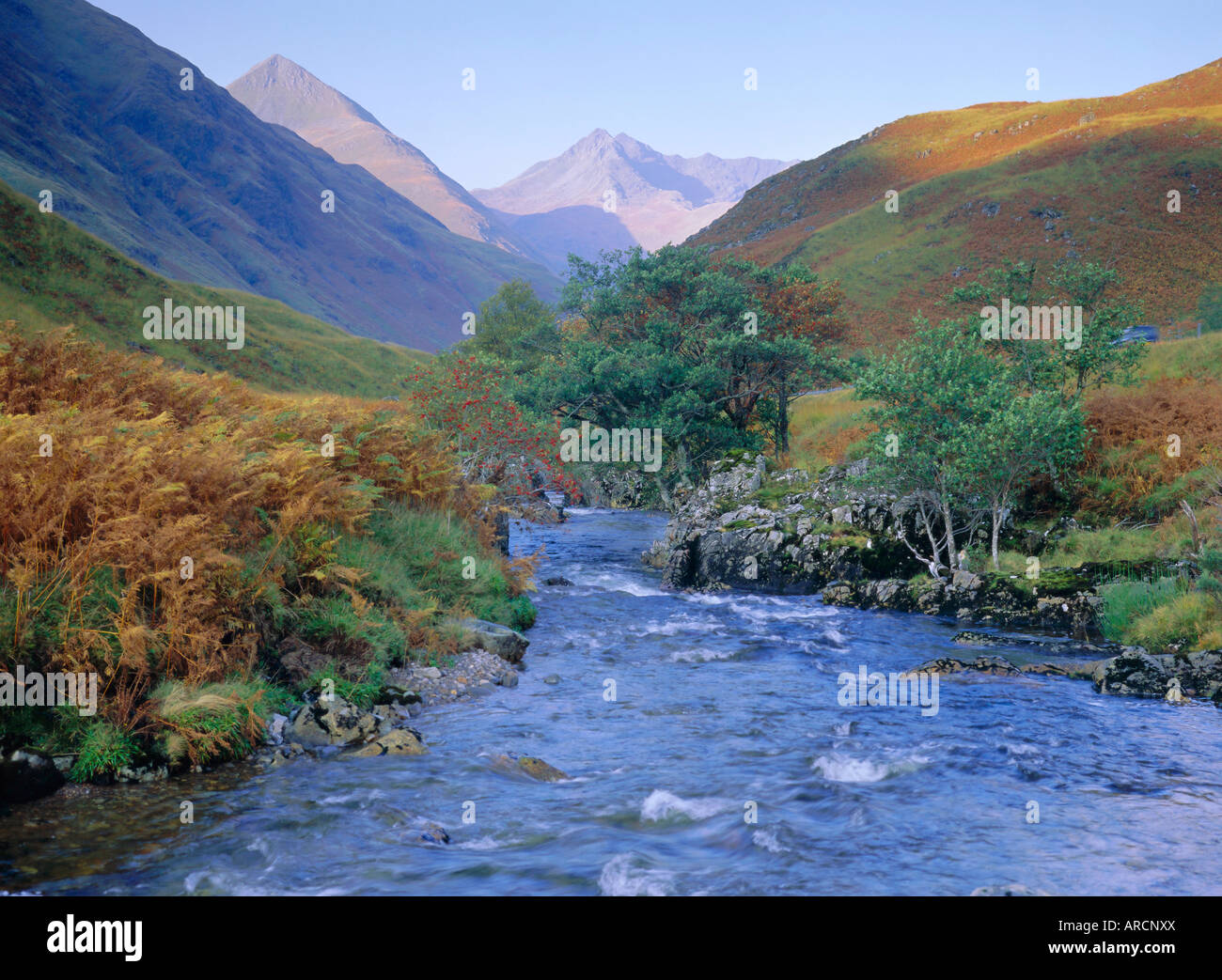 Glen Shiel, North West Highlands, Highlands Region, Schottland, UK, Europa  Stockfotografie - Alamy