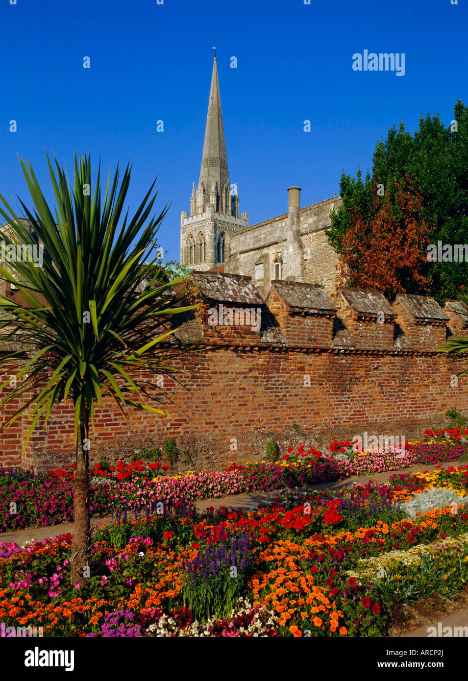 Chichester Cathedral und Gärten, Chichester, West Sussex, England, UK, Europa Stockfoto