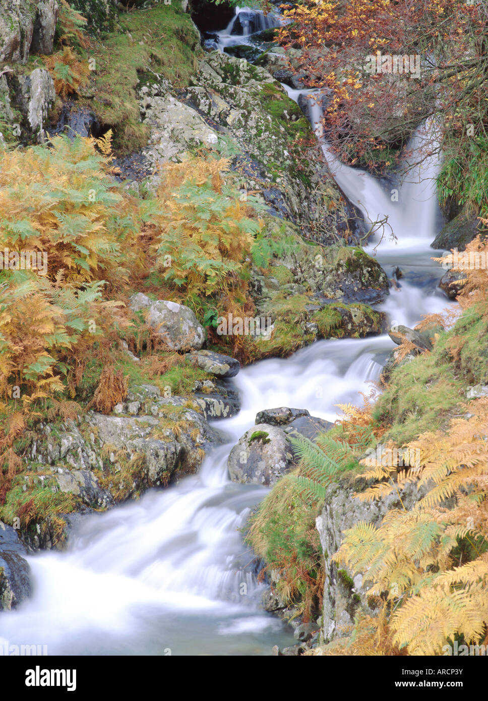 Stream über Felsen, Lake District, Cumbria, England, UK, Europa Stockfoto