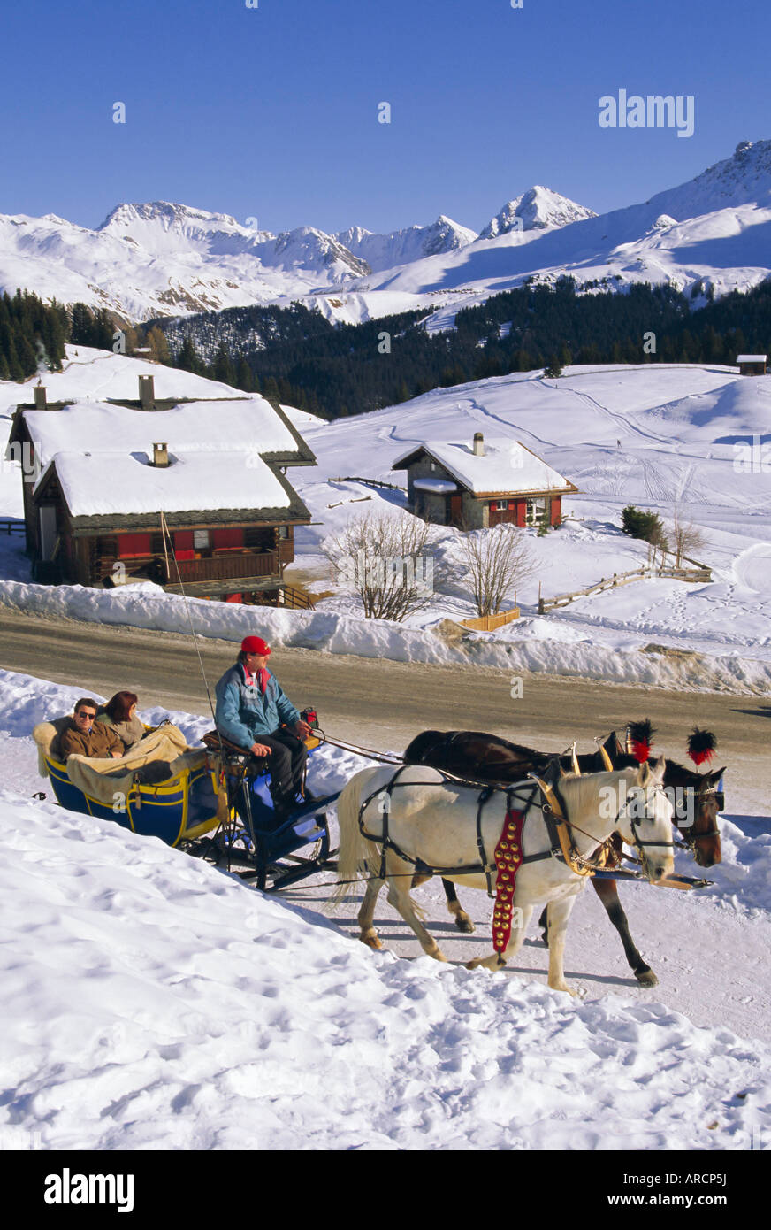 Gezeichnete Pferdeschlitten auf Ski Resort, Arosa, Graubünden Region, Schweizer Alpen, Schweiz, Europa Stockfoto