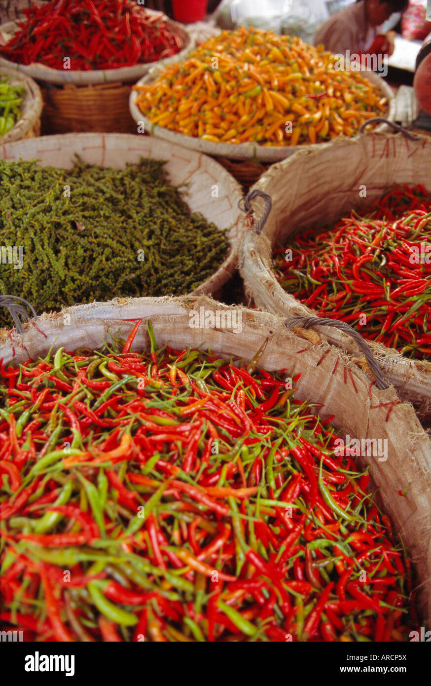 Chilis zum Verkauf, Flohmarkt, Bangkok, Thailand Stockfoto