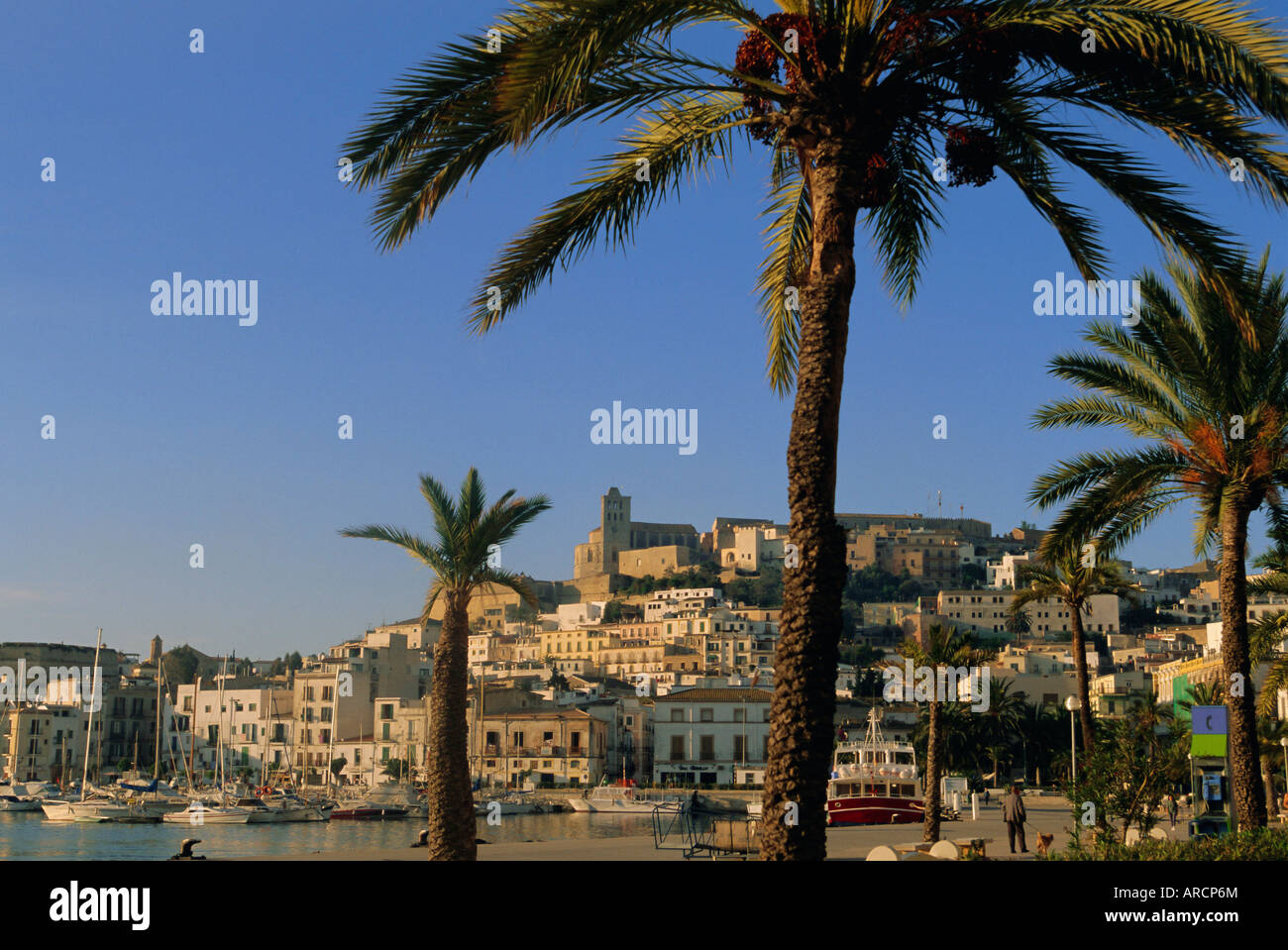 Ibiza Stadt, Ibiza, Balearische Inseln, Spanien, Europa Stockfoto