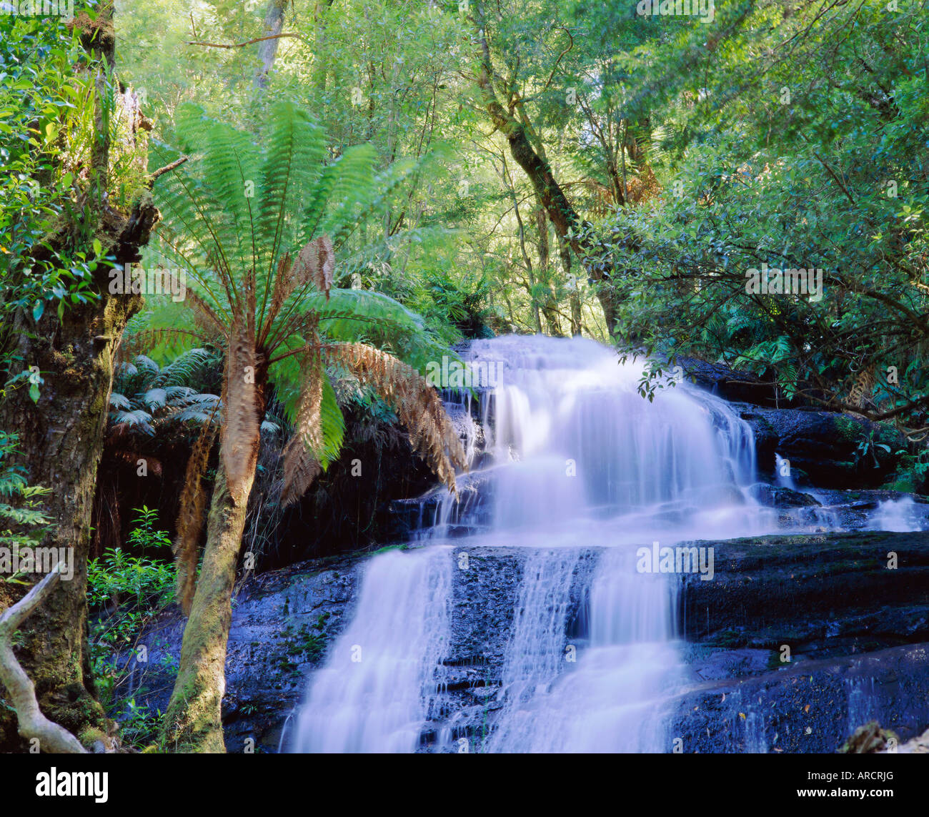 Triplet Falls, Otway Nationalpark, Victoria, Australien Stockfoto