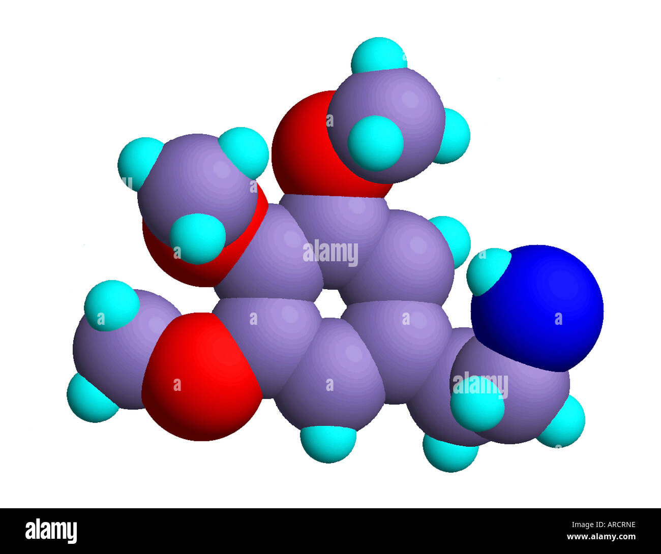Molekülmodell von Meskalin. Carbon: Mauve, Stickstoff: blau, Sauerstoff: rot, Wasserstoff: Aqua. Stockfoto