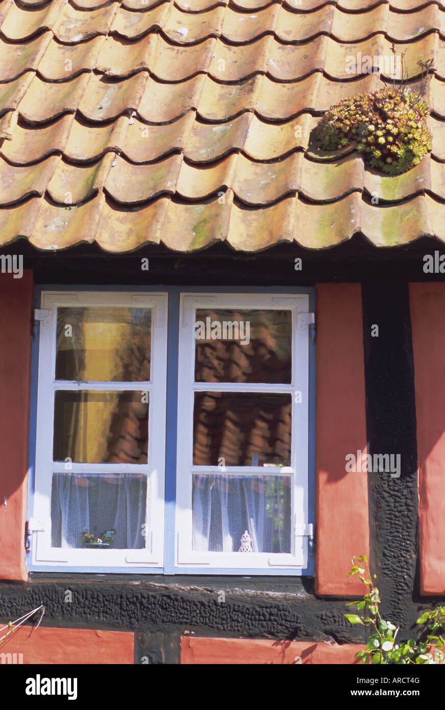 Detail-Fenster in einem bunten Haus, Aeroskobing, Insel Aero, Dänemark, Skandinavien, Europa Stockfoto