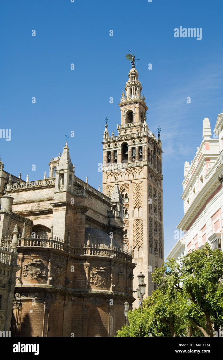 Kathedrale von Sevilla, Viertel Santa Cruz, Sevilla, Andalusien (Andalusien), Spanien, Europa Stockfoto