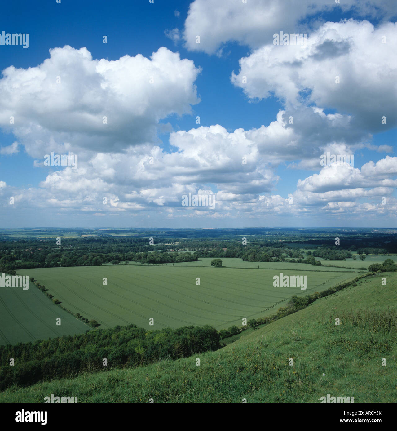 Luftaufnahme, Blick auf grüne Weizenfelder und Berkshire Landschaft in der Nähe von Inkpen Stockfoto